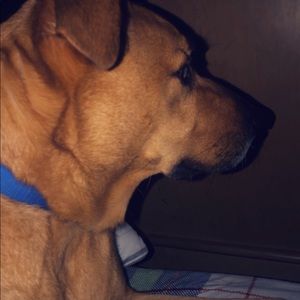 Meet your Posher, Emma